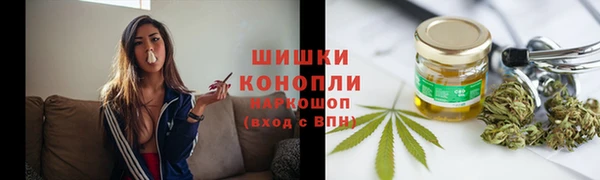 гидра Аркадак
