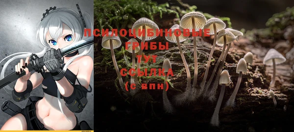 не бодяженный Осинники