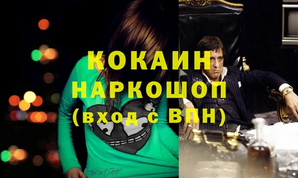 гидра Аркадак